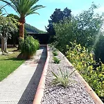 Vituco34 *